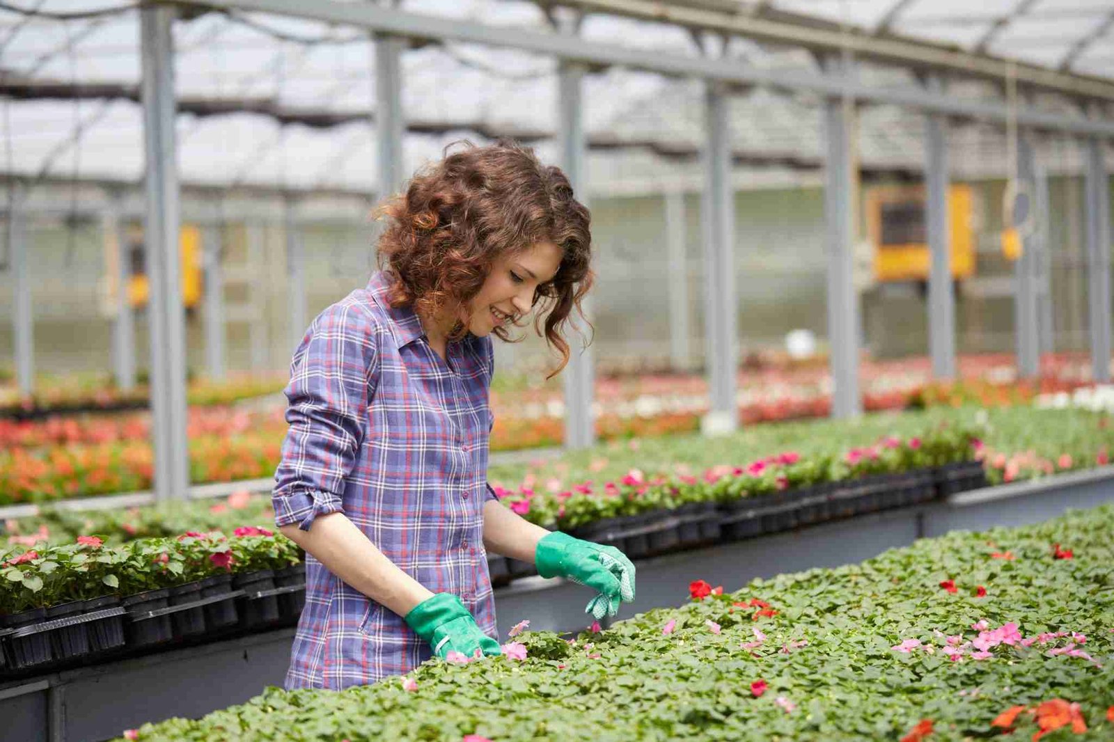 4 Best Places to Buy Artificial Plants for Outdoors