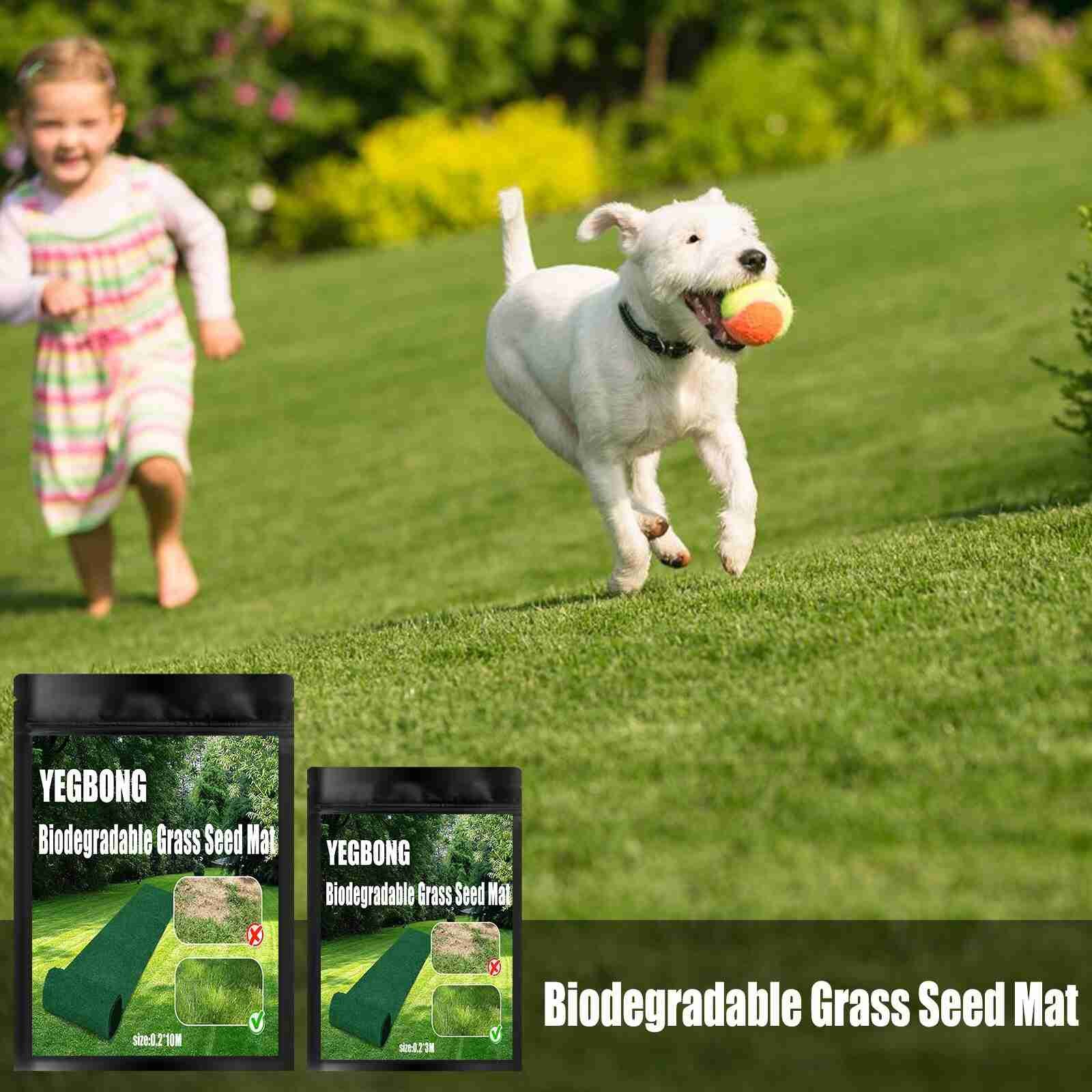 5 Best Grass Seed Mats to Roll Out a New Lawn