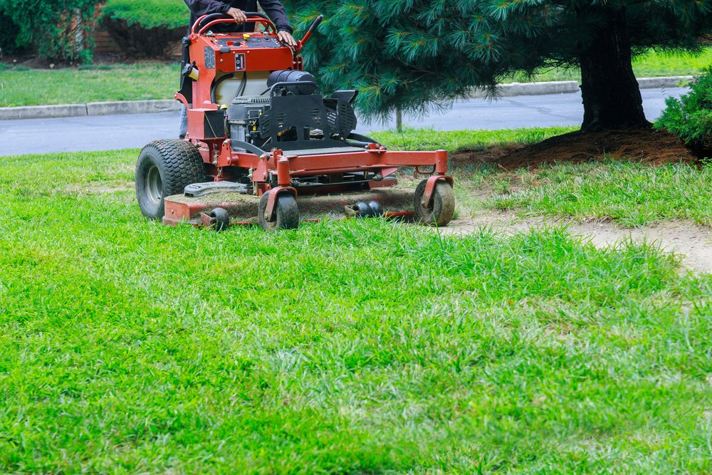 Best Lawn Treatment Companies for Virginia Lawns