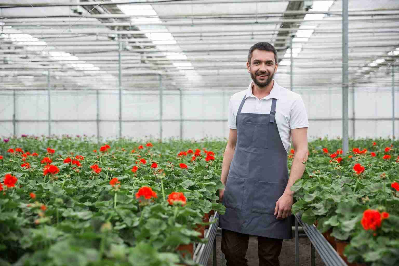 The 4 Best Places to Buy Trees & Plants Online