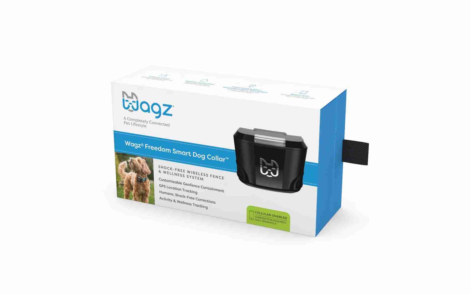 Halo Dog Collar vs. Wagz Review and Compare