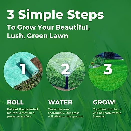 5 Best Grass Seed Mats to Roll Out a New Lawn